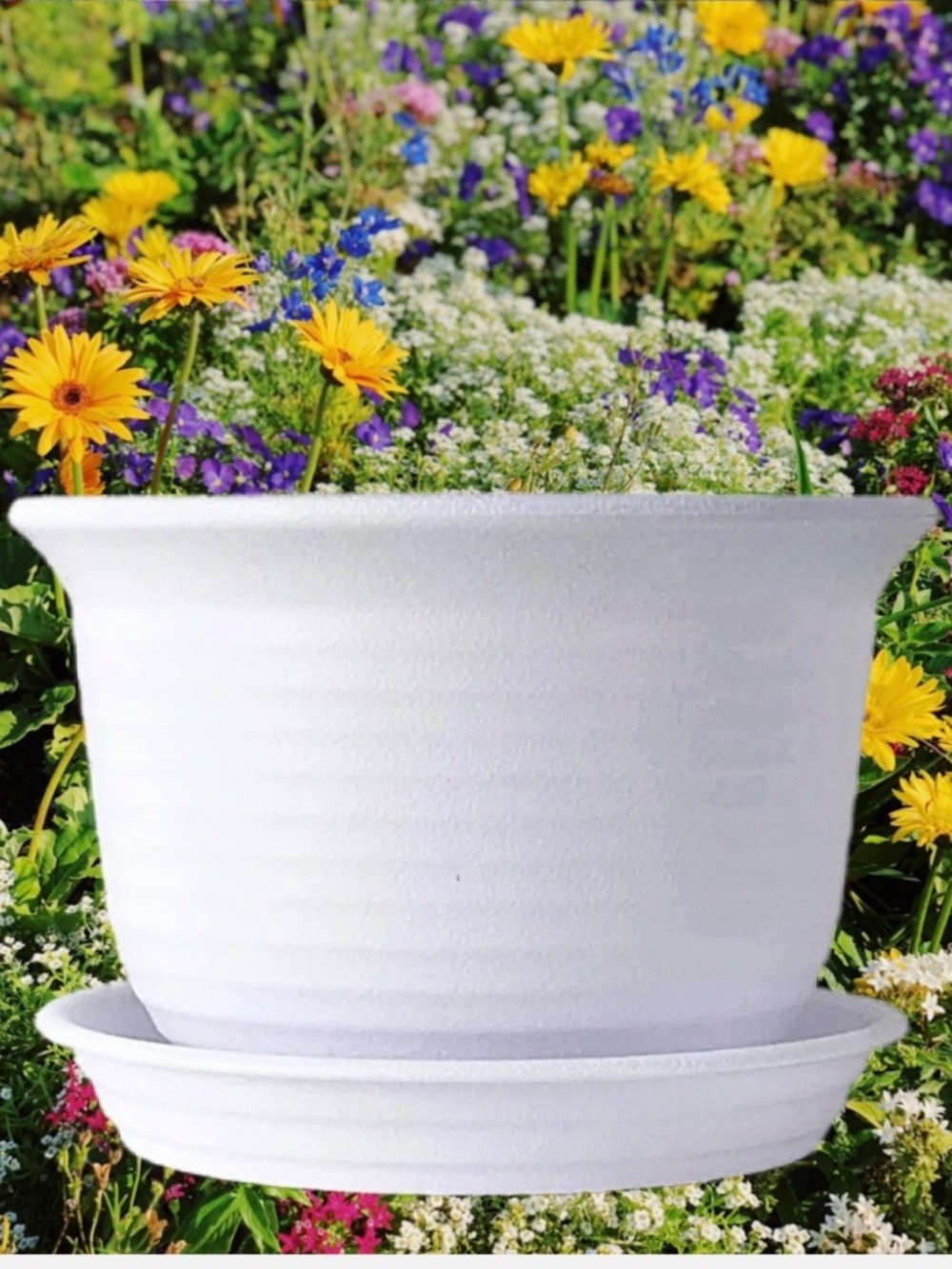 6” White Round Plastic Plant Pot Saucer Drainage Tray | Indoor & Outdoor Planter